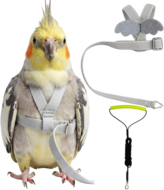 Adjustable Bird Harness with Elastic Leash, Pet Parrot Harness and Leash, Adjustable Training Design Anti-Bite, Bird Nylon Rope with Cute Wing for Conure (Grey,2M)