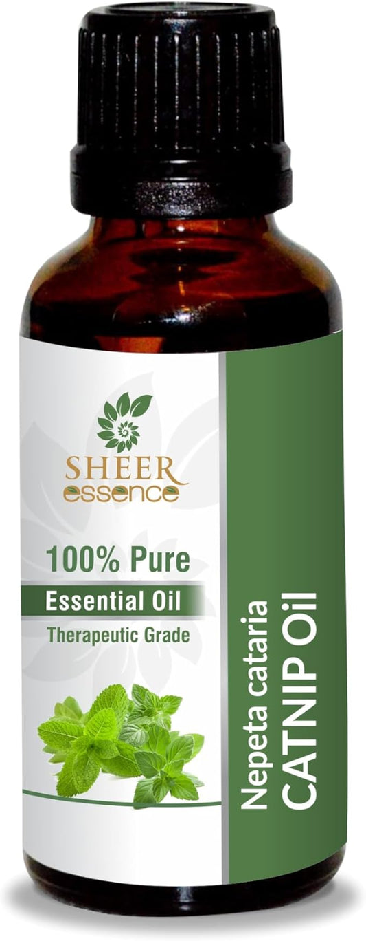 Catnip Oil (Nepeta Cataria) Essential Oil 100% Pure Natural Undiluted Uncut Therapeutic Grade Oil 33.81 Fl.OZ