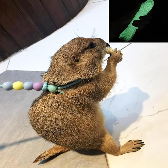 1 Pcs Adjustable Lizard Harness Walking Harness Bearded Dragon Leash Reptile Dragon Leash Harness Lead for Small Animal Hamster Reptiles