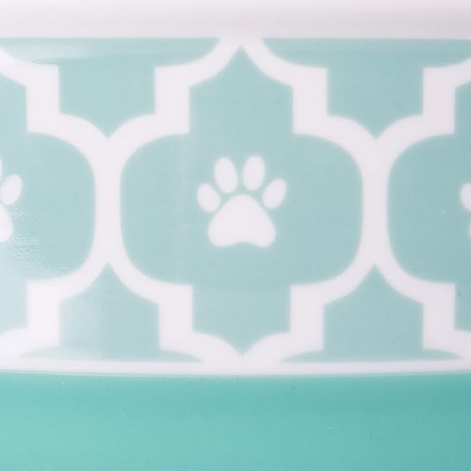 Bone Dry Lattice Collection Pet Bowl & Canister, Medium Set, 6x2", Aqua, 2 Count