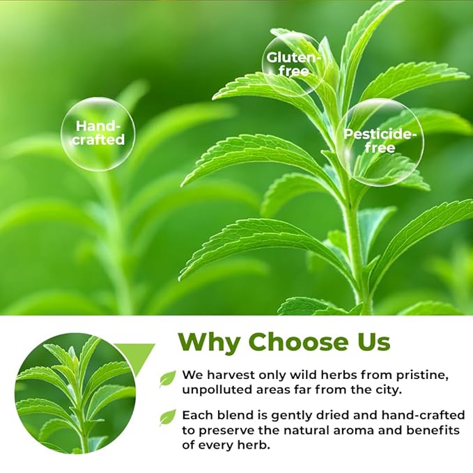 4 oz. Dried Stevia Leaves Herbal Tea (Stevia Rebaudiana) - 113g Leaf Leaves Herb Tea Estevia