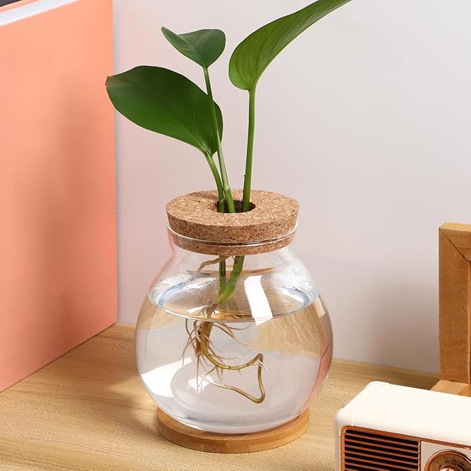 Desktop Hydroponic Fish Bowl Glass Terrarium for Betta Fish with Bamboo Base Small Aquarium for Home Office Decoration