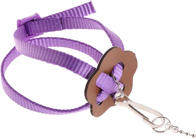 Pet Bird Harness Leash, Adjustable Parrot Flying Rope, Bright Color for Parrots, Pigeons, Lovebird, Outdoor Training, Anti-Flyaway, Green, Purple, Pink, Blue, Orange, 0.8x120cm/0.31x47.24''