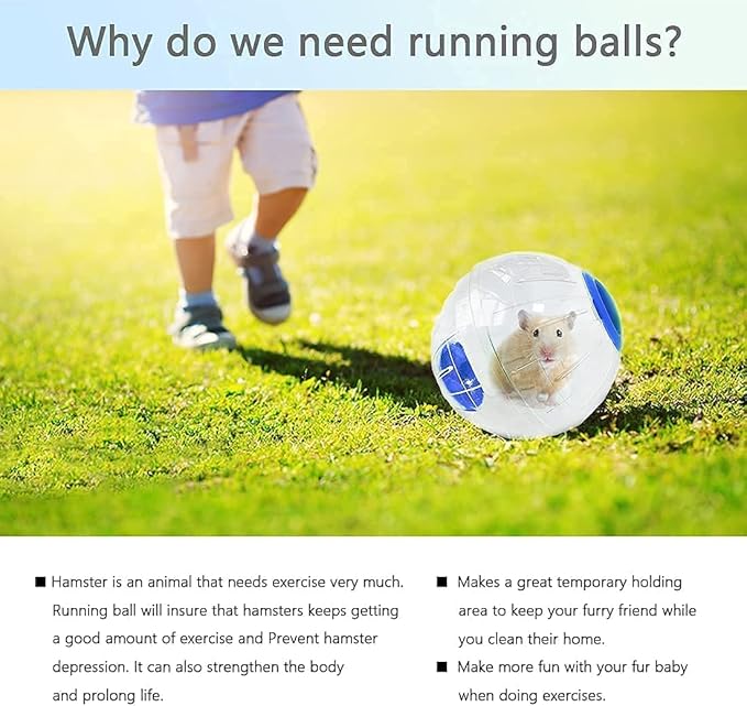 Crystal Hamster Ball for Hamsters Less Than 4 Inches - 6" Guinea Pig Exercise Running Ball - Fitness Wheel for Small Animals - Dwarf Hamster Toy (L, White B)