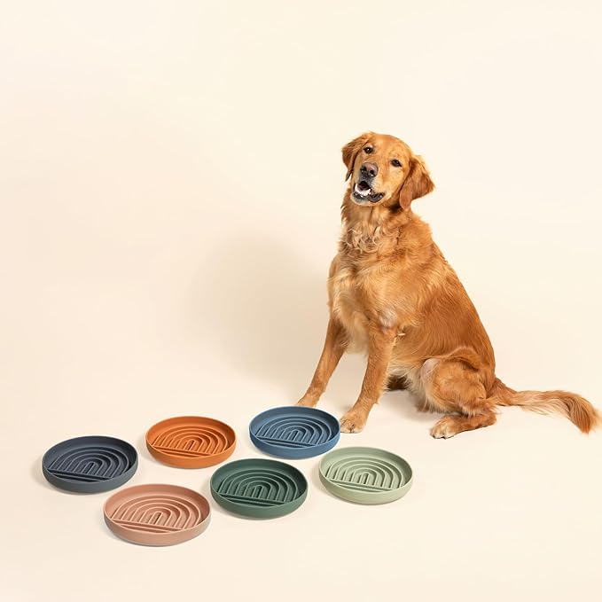 Should We Go? Slow Feeder for Dogs & Puppies, The Slowdown Bowl Silicone Slow Eating, Modern Lick Mat Design, Reduces Gulping, Fits 2.5 Cups 9.5” Across x 1.5” Tall, Mealtime Challenge, Large-Charcoal