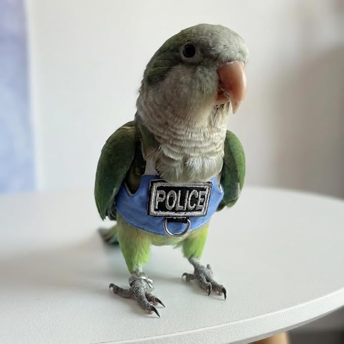 2 Pack Bird Flight Suit Vest, Adjustable Parrot Harness Clothes with Cute Design, Anti-Bite Outdoor Training Outfit for Parakeet, Cockatiel, Conure, Quaker, Budgie (L,Without Leash)