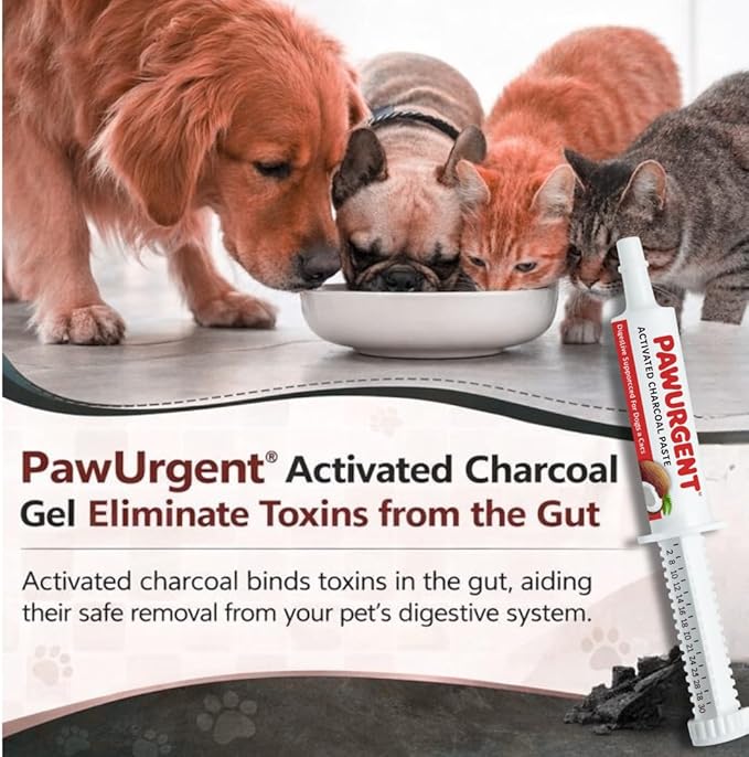 30 cc Activated Charcoal Gel for Dogs for Poisoning, Dog First Aid Activated Charcoal, Animal Use Only