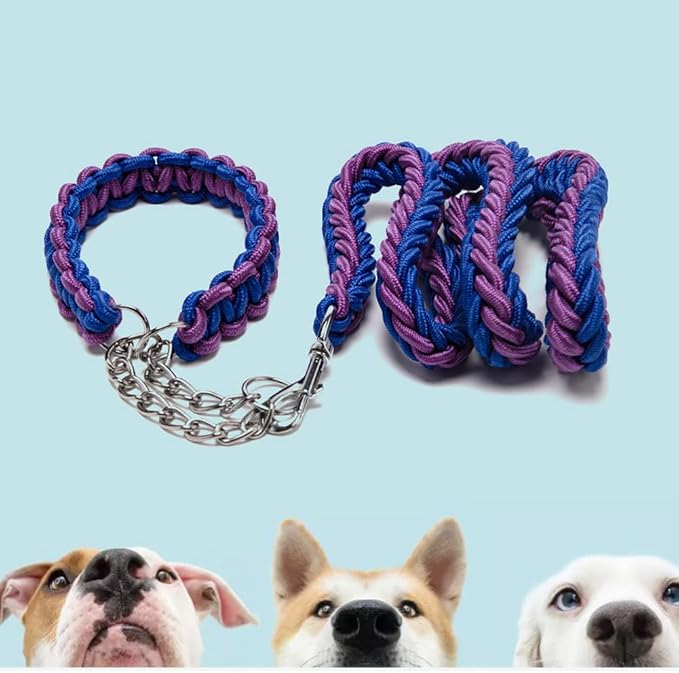 Love Dream Dog Collar and Leash Set, Heavy Duty Nylon Braided Rope Strong 4 FT Dog Leash and Martingale Training Collar for Small Medium Large Dogs Training and Walking (Black & Purple)