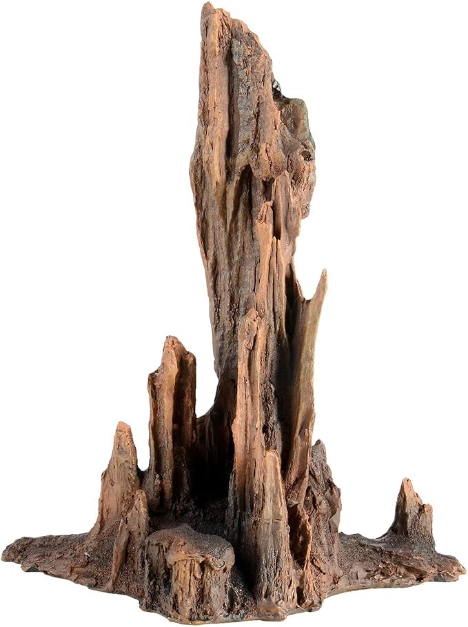 Underwater Treasures Petrified Wood - Large