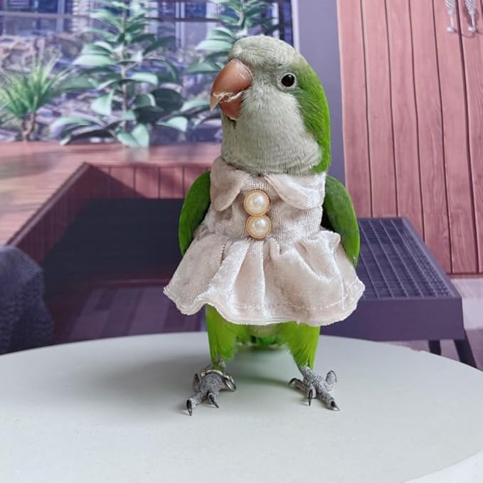 Bird Costume Bird Diaper Flight Suit Parrot Velvet Fleece Skirt Clothes Cosplay Photo Prop for Conure Lovebird Parakeet Cockatiel Macaw Small Animals Apparel (White,XX-Large)