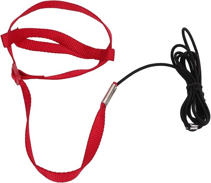 Elastic Parrot Harness Leash Bird Leash Bite Proof Harness Adjustable Parrot Flying Training Rope with Metal Hook Nylon Webbing for Cockatiels Walking (L)