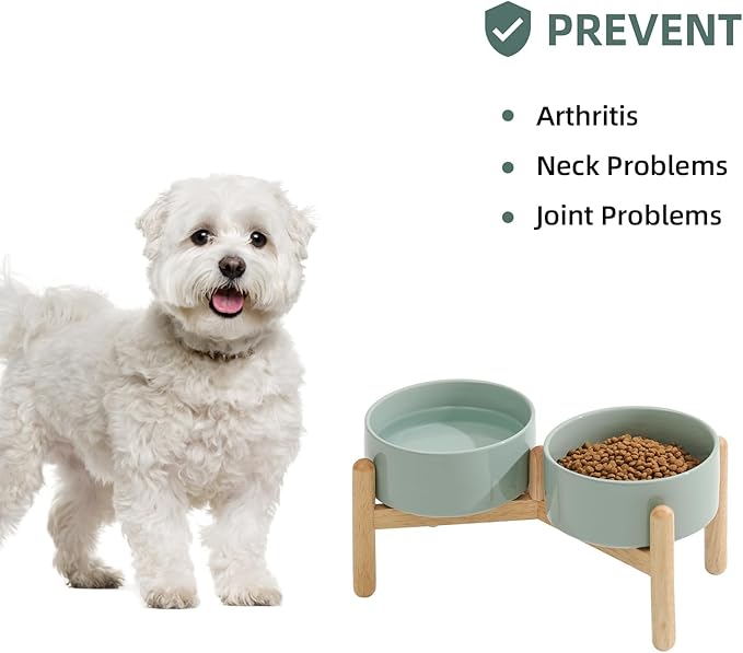Havniva Ceramic 6.1inch Raised Dog Bowl with Stand for Small and Medium Breed Dog Dish Pet Food and Water Bowl (Double Bowl with Stand - Light Green, 28oz)