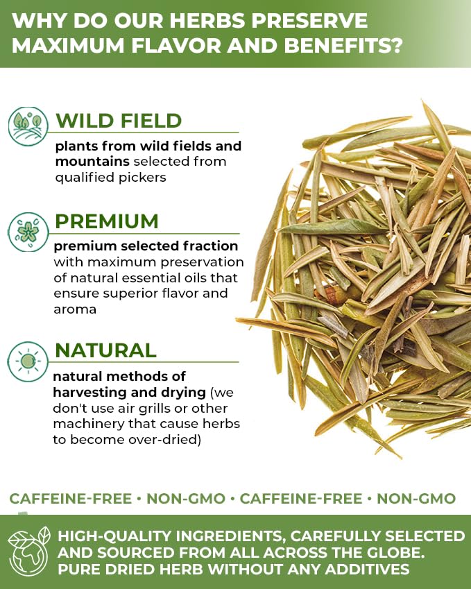 50 Bags Olive Leaf Tea Dried Olive Leaf Herbal Tea (Olea Europaea) - 50 Count 1.5 g Bags Hojas De Olivo Secas