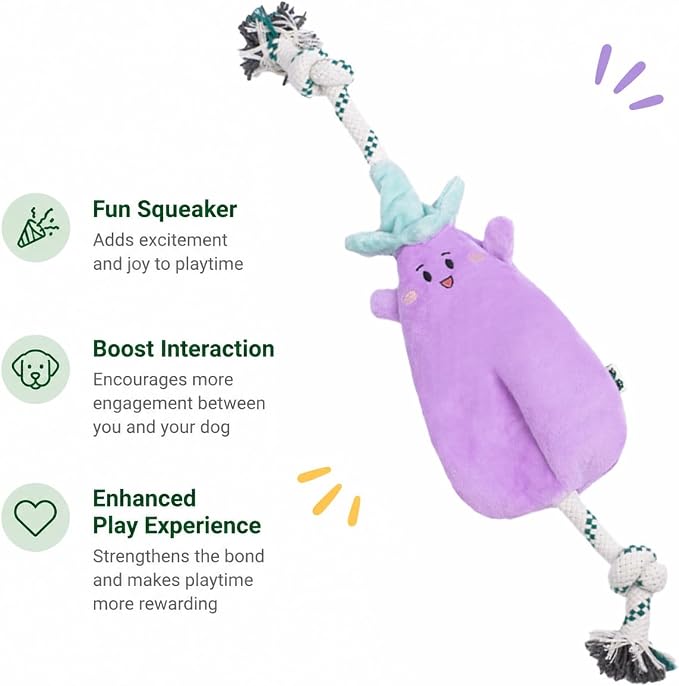 Green Sheep Interactive Plush Dog Toy, No Stuffing Squeaky Toy with Recycled Cotton Rope for Medium to Large Dogs, Aubergine
