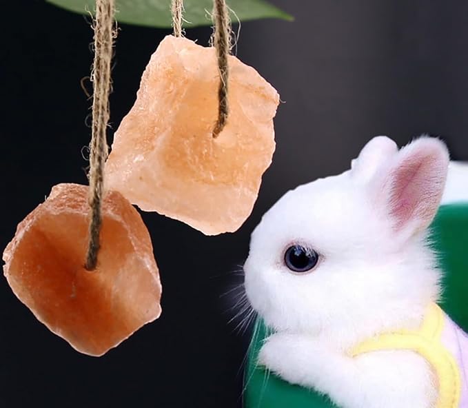 4Pcs Himalayan Small Animals Lick Salt Mineral Salt Block Organic Pink Salt Natural Salt Brick with Rope for Cats, Dogs, Rabbits and Animals