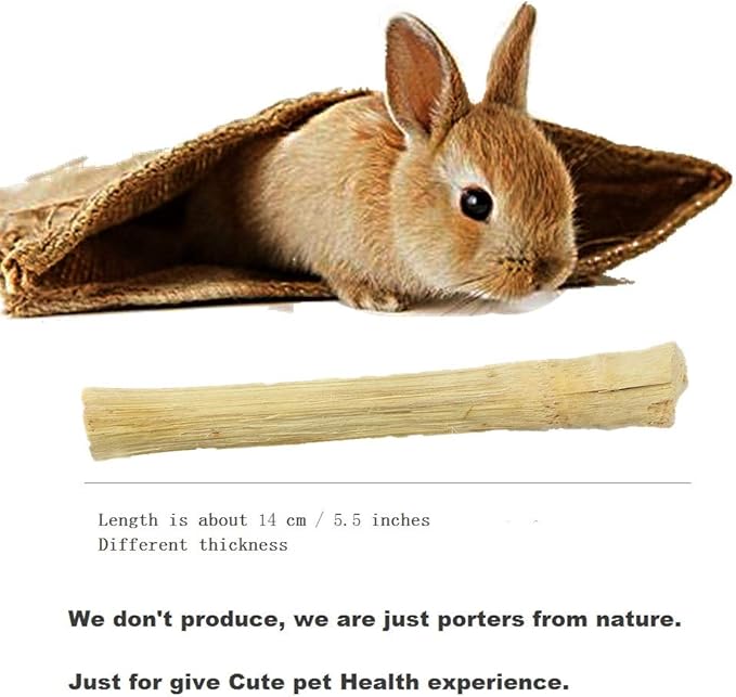 300g/10.5oz Bamboo Sticks for Rabbits - Rabbit Chew Toys for Teeth with Rabbit Treats Included - Durable Chew Sticks for Hours of Fun