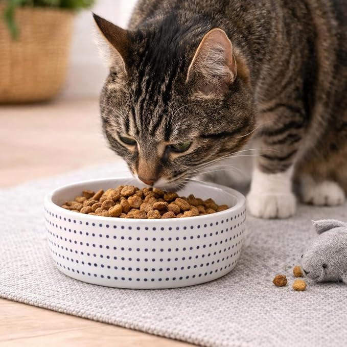 Pearhead Ceramic Cat Bowl for Food and Water, Whisker Fatigue Shallow Wide Cat Food Bowl, Heavyweight Non Slip Non Tip Pet Dish, Modern White Cat Bowl with Blue Dot Design