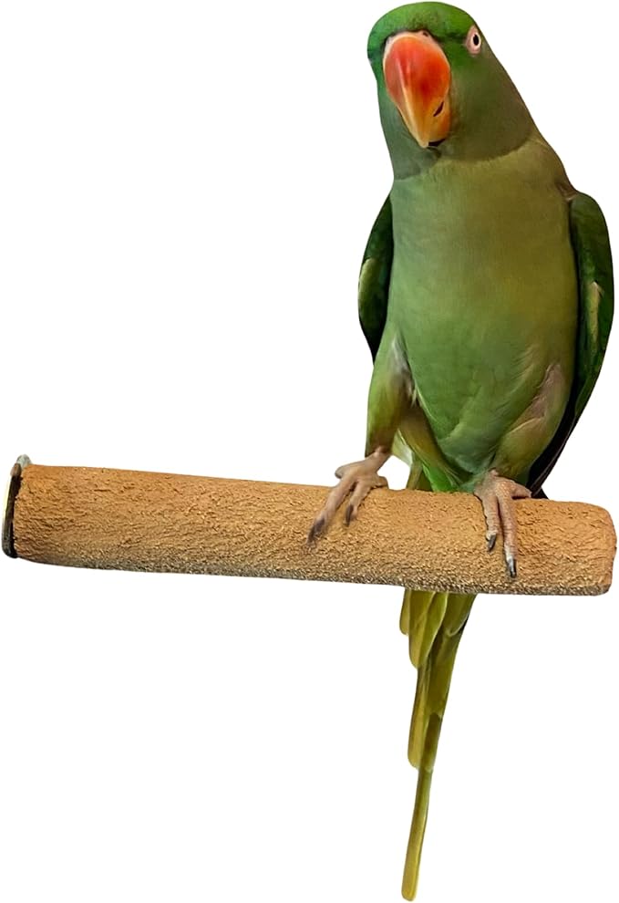 Polly's Pastels Nail Trimming & Beak Conditioning Safety Perch for Cockatiels, Cockatoos, Macaws, Parakeets, Budgies, Parrots and All Other Birds (Brown, Large-1 1/2" Dia. x 9" Long)