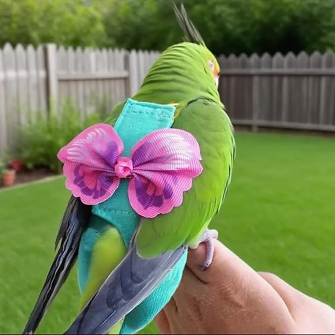 Pet Bird Diaper Harness Adjustable Parrot Harness and Leash Set Cockatiel Flight Suit with 60 Inch Leash Bow Tie Bird Flying Clothes for Conures Cockatoos Cockatiel Pigeon (Pink, Large)
