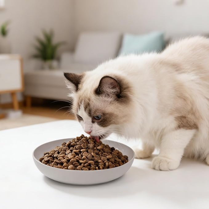 [8 Pack] Cat Dishes Whisker Friendly, Shallow Wide Cat Food and Water Bowl, Durable Wheat Straw Cat Bowls for Indoor Cats