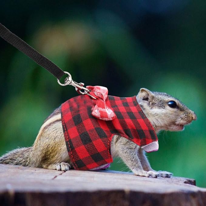 GOTOTOP 2PCs Small Pet Harness with Bowknot and Bell Decor, No Pulling Comfort Padded Vest Guinea Pig Harness and Leash Set for Ferret, Rats, Iguana, Hamster
