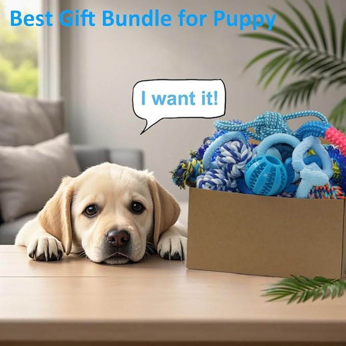 Beiker 20 Pack Puppy Chew Toys - Blue Dog Teething Toys for Puppies, Puppy Teething Rings and Ropes, Rubber Toy Bundle for Small Dogs, Cute Interactive Dog Balls for Small Breed
