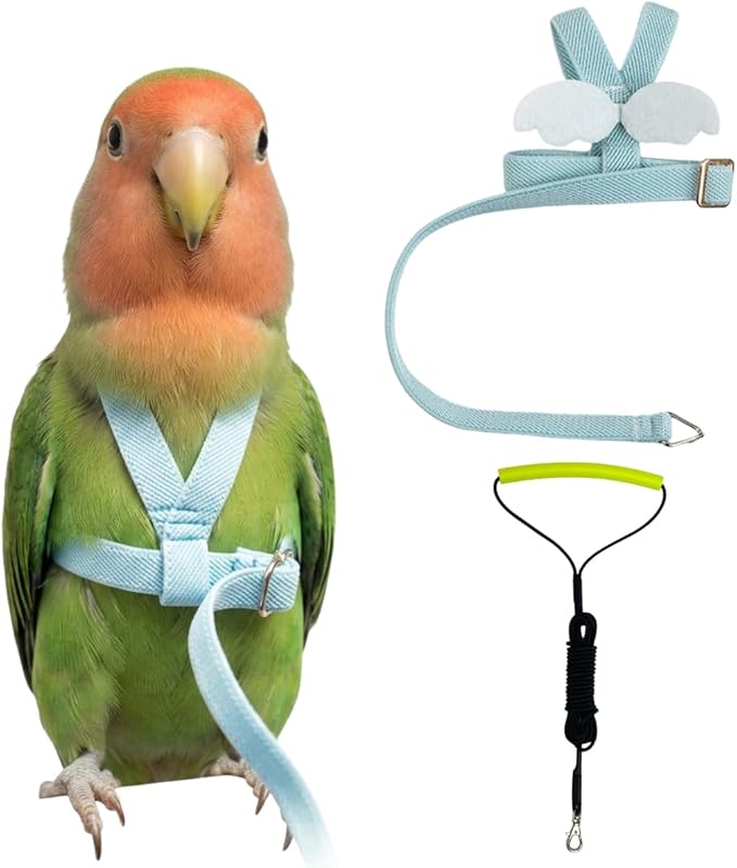 Adjustable Bird Harness with Elastic Leash, Pet Parrot Harness and Leash, Adjustable Training Design Anti-Bite, Bird Nylon Rope with Cute Wing for Conure (Light Blue,S)