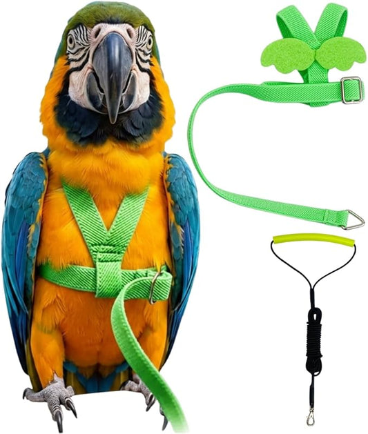 Adjustable Bird Harness with Elastic Leash, Pet Parrot Harness and Leash, Adjustable Training Design Anti-Bite, Bird Nylon Rope with Cute Wing for Conure (Green,Macaw)