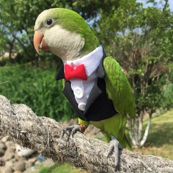 Bird Clothes Birds Flight Suit,Tuxedo Business Suit for Parrots African Greys Parakeet Cockatiel Sun Conure Christmas Party Birthday Cosplay Photo Prop Small Animals Apparel (XS,Black Suit)
