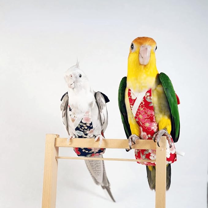 Bird Flight Suits Diapers, Parrot Flight Suits Diapers for Monk Parakeets, Cockatiels Flight Suits, Parrot Clothes, Bird Training Nappy Suit Liners Clothes (Large,Purple)