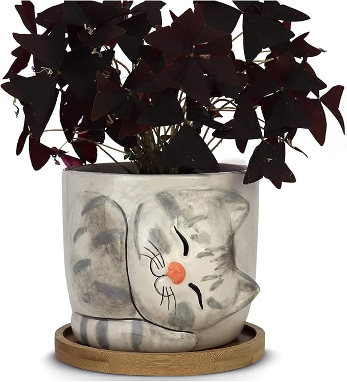 Window Garden Animal - Large Kitty Pot (Barney) Purrfect for Indoor Live House Plants, Succulents, Flowers and Herbs, Super for Cat Lovers, Cat