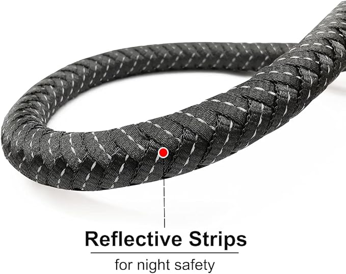 10FT Strong Dog Leash, Black Rope Leash Highly Reflective Threads with Soft Padded Handle for Small Medium Large Dogs (1/2")