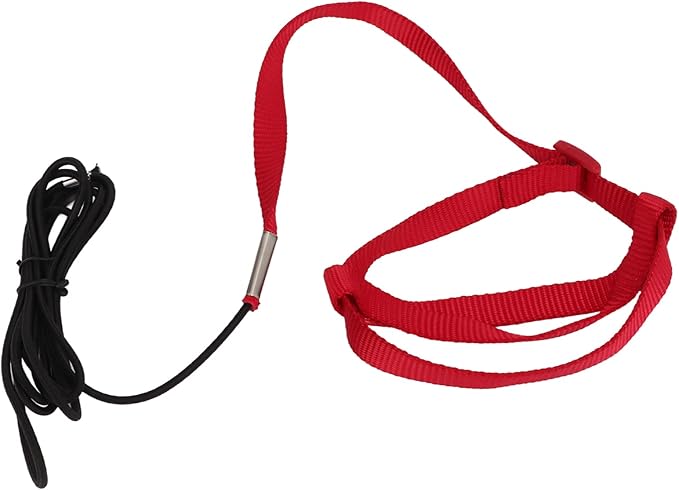Elastic Parrot Harness Leash Bird Leash Bite Proof Harness Adjustable Parrot Flying Training Rope with Metal Hook Nylon Webbing for Cockatiels Walking (XL)