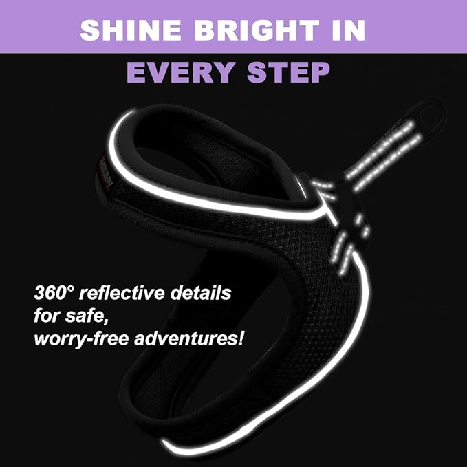 Cat Harness and Leash Set,Escape Proof Kitten Harness,Step in Adjustable Soft Lightweight,Easy Control,Reflective Strips Comfortable for Walking Travel(Black,XXXS)