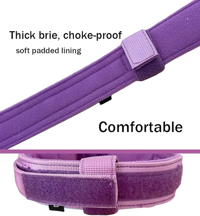 Xqpetlihai Tactical Dog Collar Adjustable Military Nylon Dog Collar with Control Handle and Heavy Duty Metal Buckle for Medium and Large Dogs(Purple,M)