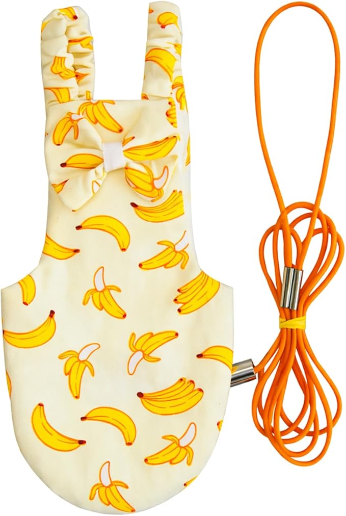 Bird Diaper and Leash Set with Harness, Cockatiel/Conure/Young Quaker Parrot Diapers with Harness, Washable Pet Bird Flight Suit Set for Outdoor Flying & Training (M)