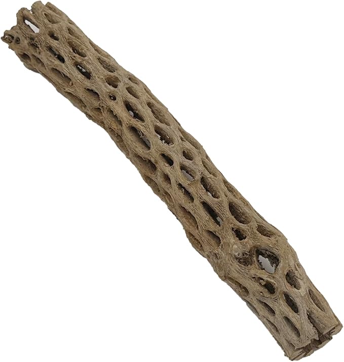 Awesome Aquatic XL Cholla Wood Tubes, Teddy Cane, 12" x up to 2" | XL Hideouts • Hollow tubes • Natural biofilm surface • Secure hideouts • Shrimp plecos hermit crabs reptiles • Natural décor