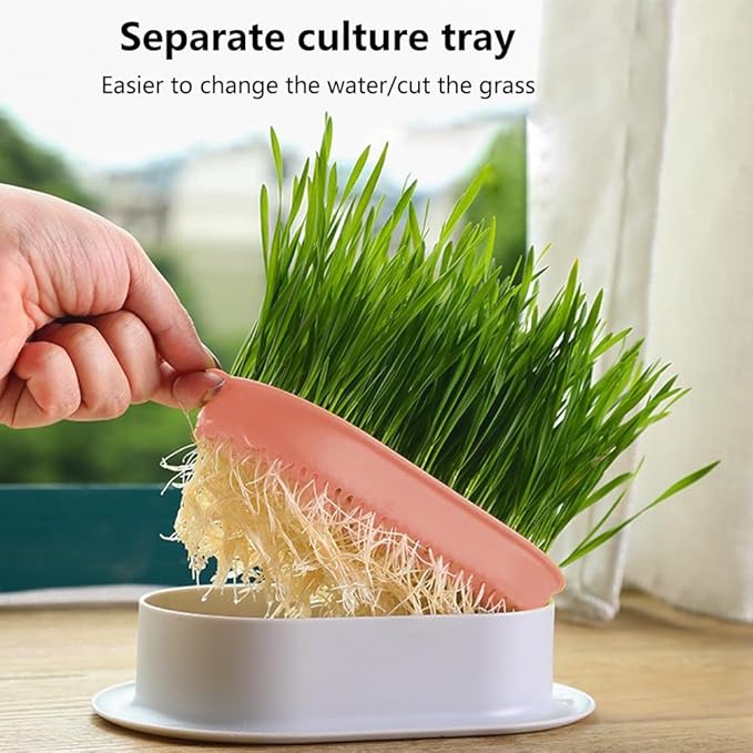 3PCS Cat Grass Planter Hydroponic Cat Grass Box,Cat Grass Growing Kit,Nursery Plant Planting Box, Soilless Culture Cat Grass Growing Kit,for Indoor Cats