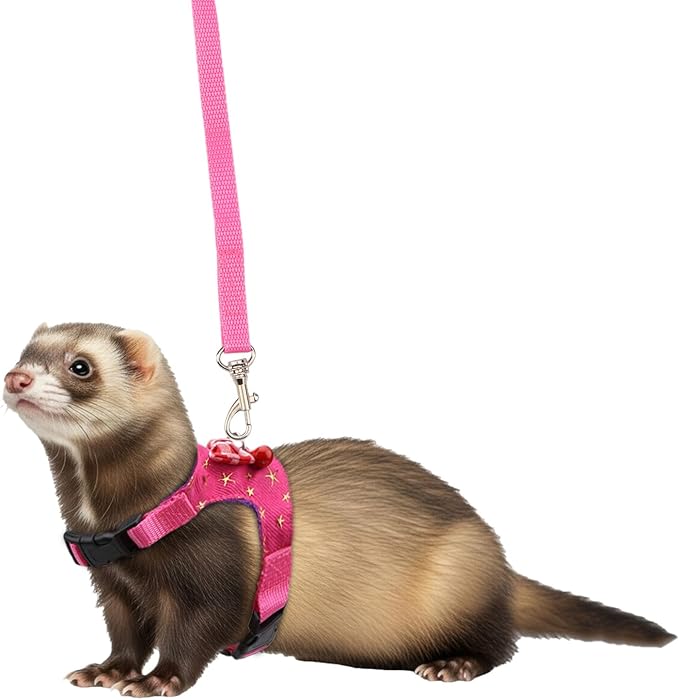 Hypeety Small Animal Harness Vest and Leash Set Soft Mesh Harness Outdoor Leash Traction Rope for Small Pet Hamster Rabbit Guinea Pig Ferret Kitten (M, Pink Star)