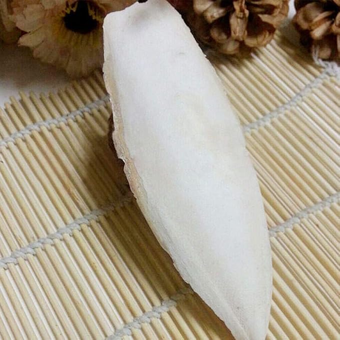 Acxico 10 pcs Cuttlefish Bones Pet Molars, Cuttlefish Bones, 8-10cm