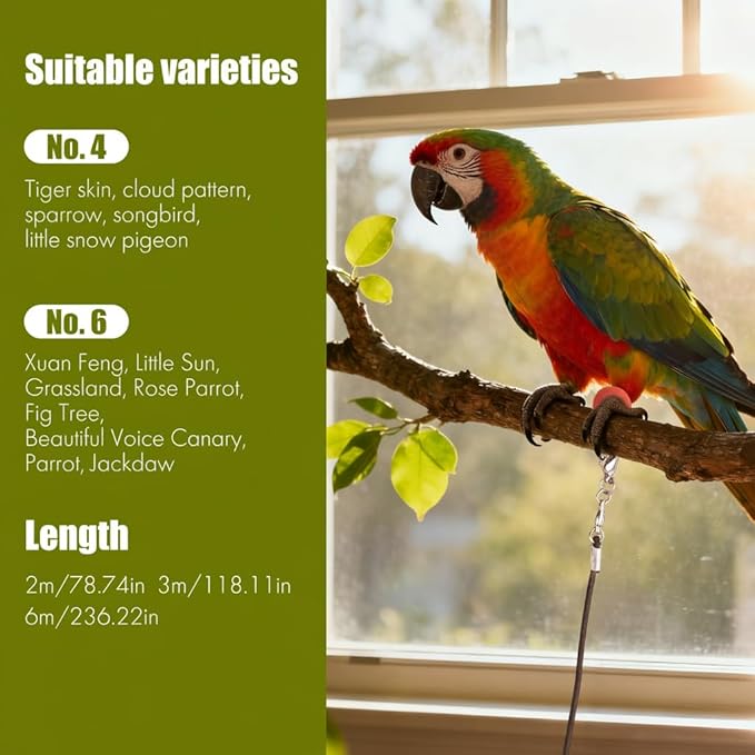 Parrot Flight Leash, Bite-Resistant Latex Elastic Leash, Adjustable Training Bird Harness for Budgies, Cockatiels, Cockatoos and Macaws. (Size 6 Silicone Anklet, 2)