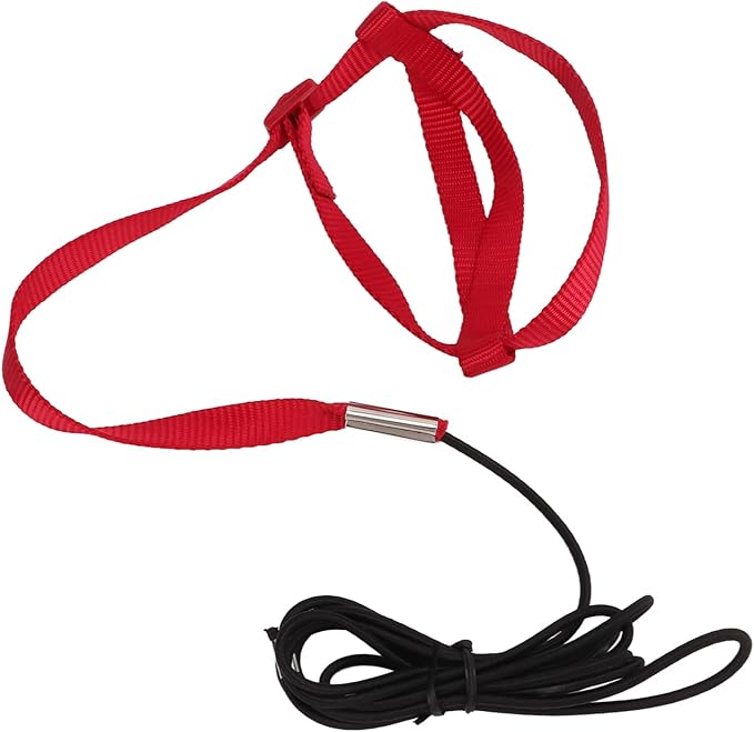 Elastic Parrot Harness Leash Bird Leash Bite Proof Harness Adjustable Parrot Flying Training Rope with Metal Hook Nylon Webbing for Cockatiels Walking (XL)