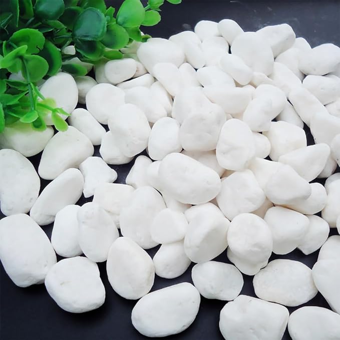 1 Lb/460g White Stones Decorative Pebble Rock Sand for Aquarium/Fish Turtle Tank/Vase Filler/Succulent Plants Decoration (Fill 1 Cup)
