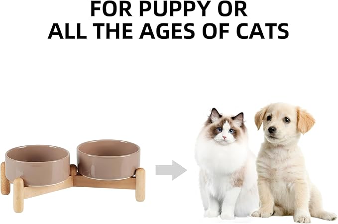 Havniva Ceramic 5.1inch Raised Double Bowls Set with Wooden Stand, Elevated Food & Water Bowls for Small Breed Dogs, Cats, Kitty, Weighted Dog Dishes, Pet Bowls(13.5oz, Brown Coffee)