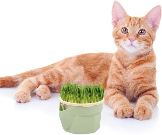 POPETPOP Cat Grass Hydroponic Planting Cup Soilless Catnip Box with Double-Layer Design Easy to Clean Household Cat Plant Pot 3.93X3.54X2.48 Inch