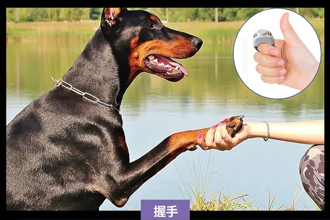 The Set of Easy Clicking Finger Ring Clicker Dog Trainer for Dogs Cats Horses traing Allowing Effective Versatile Training (2pcs Grey+Green)