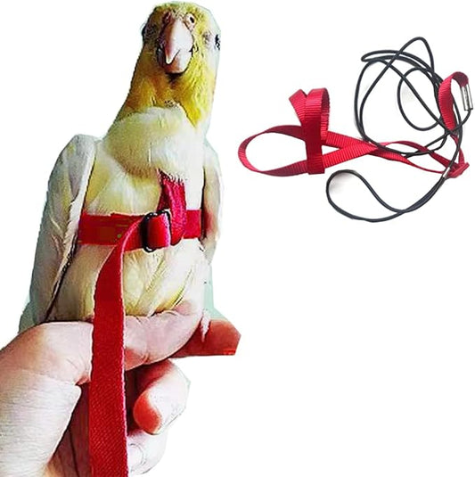 Adjustable Birds Harness and Leash Parrot Harness Leash Training Supplies Pet Anti-bite Outdoor Flying Rope for Conures Budgerigar Lovebird Cockatiel Mynah (S, Red)