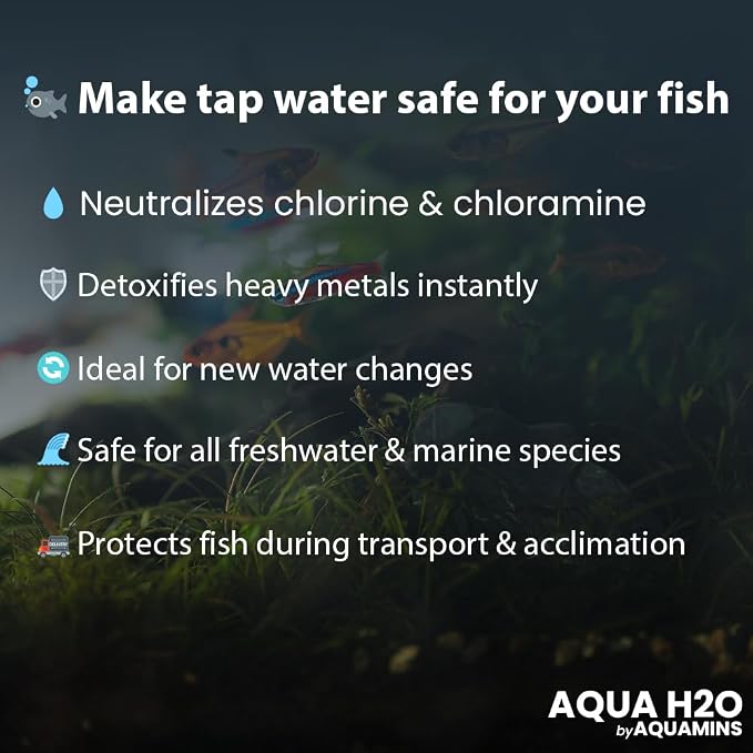 Aqua H2O Aquarium Water Conditioner - 100ml / 3.38 fl oz - Supports Fish Protective Coat & Natural Well-Being - Safe for Freshwater & Saltwater Tanks