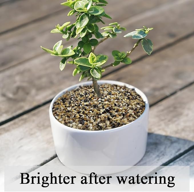 FANTIAN 10 lbs Aquarium Sand, 1/16 Inch Fish Tank Gravel. Decorative Coarse Sand Pea Gravel for Aquarium Substrate, Terrariums, Vase, Plant, Soil Cover and Outdoor Landscaping Small River Rocks