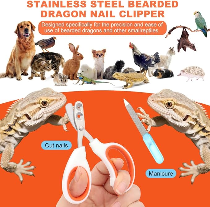 Bearded Dragon Nail Clippers, Stainless Steel Cat Nails Trimmer, Small Animal Nail Clippers for Birds Hamsters Rabbits Chameleon, Bearded Dragon Supplies Professional Claw Trimmers(Orange)